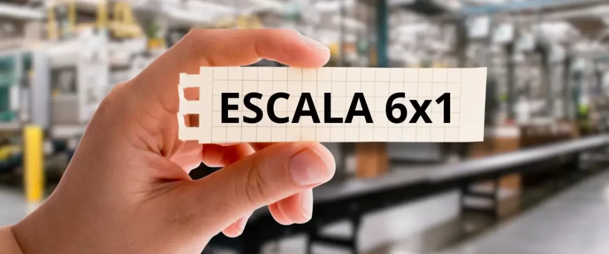 Escala 6x1 - Quais São os Direitos do Trabalhador - blog Advogada Luciana Delpino